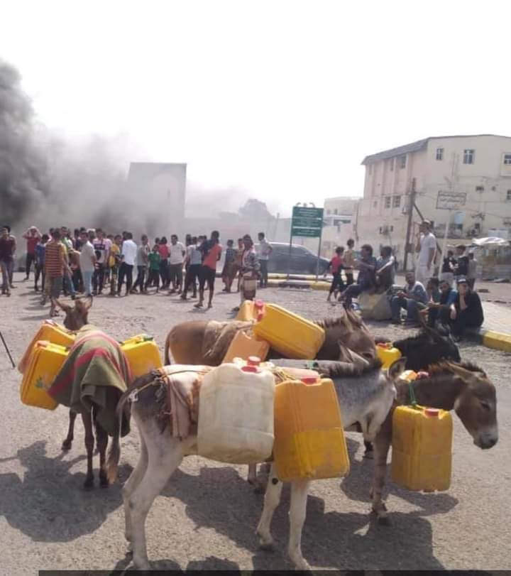 عدن بين طريق الحرير وطريق الحمير !!