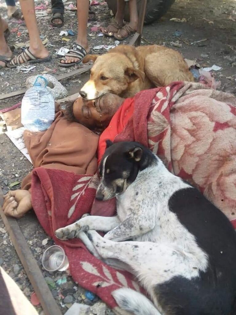 مانع: دعوة إلى ساسة باليمن للاتعاظ من وفاء كلاب إب (صورة)