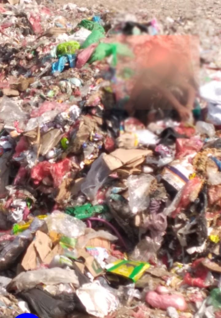عدن: صحفي ينشر قصة مؤثرة لطفل بين أكوام القمامة.. فماذا قال؟