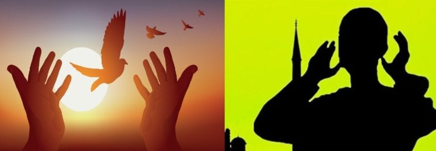 الأذان ورسائل السلام في شباك التضليل… “تحقيق” يكشف فيديوهات مفبركة