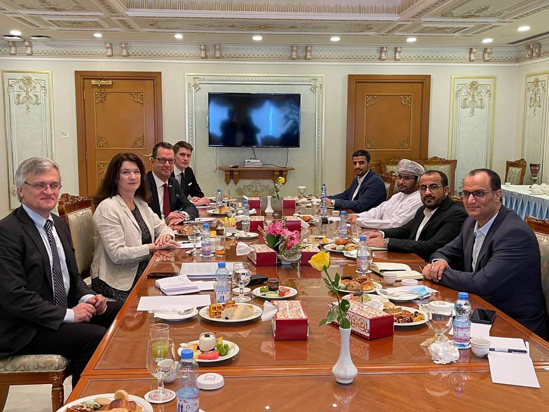 هذا ما دار في مباحثات وزيرة خارجية السويد والحوثي