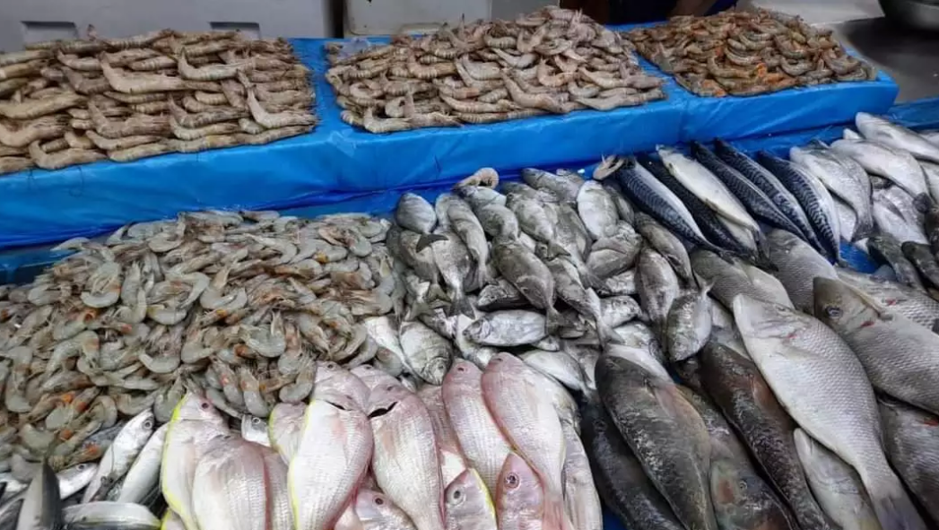 انخفاض سريع في اسعار السمك عقب منع محتجين تصديرها الى الخليج