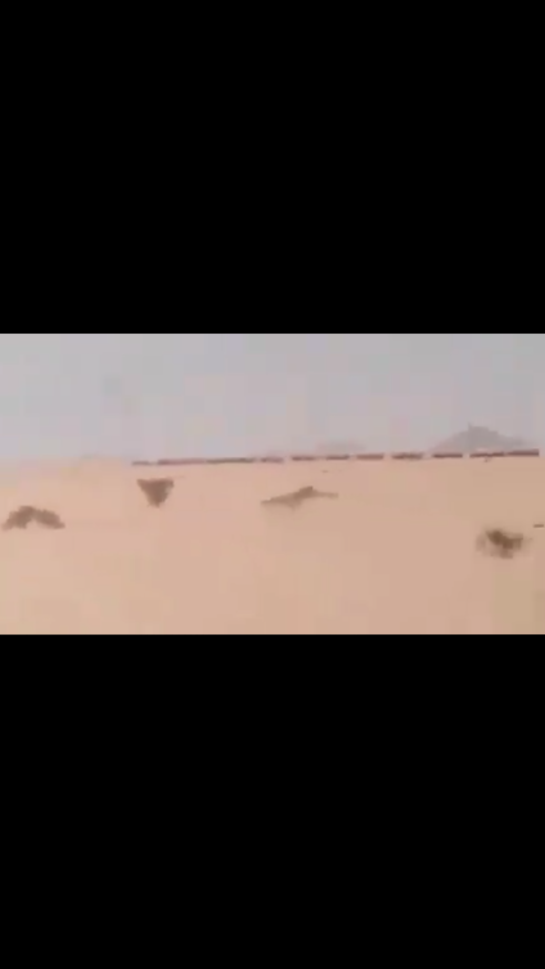 شاهد : اسطول ضخم من الشاحنات يملكه الجنرال وينقل النفط من شبوة الى مأرب