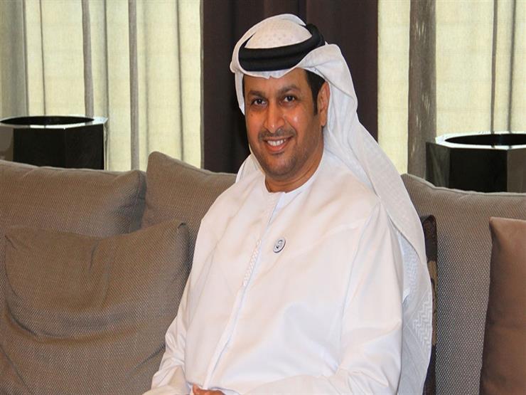 مستشار محمد بن زايد يؤكد اعتقال السفير الإماراتي في مصر