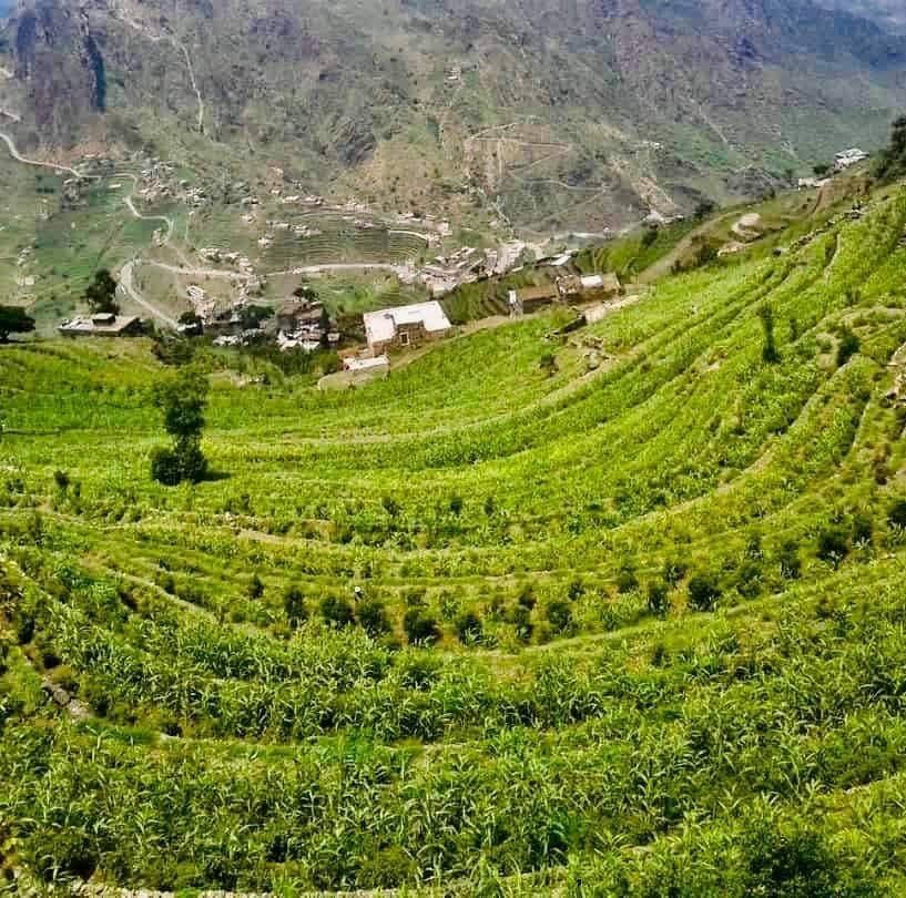 في حادثة مؤسفة.. شاب يقتل والده ويصيب والدته بطلق ناري بمحافظة ريمة