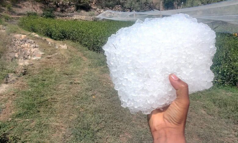 الأرصاد يتوقع هطول أمطار رعدية على عدد من المحافظات